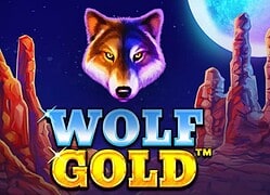Wolf G Split Aces Casino Game