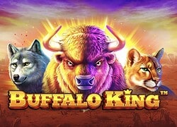 Buffalo King Split Aces Casino Slot