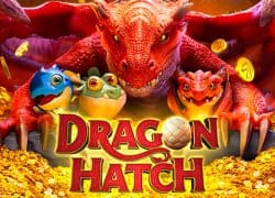 Dragon Hatch Split Aces Casino Game